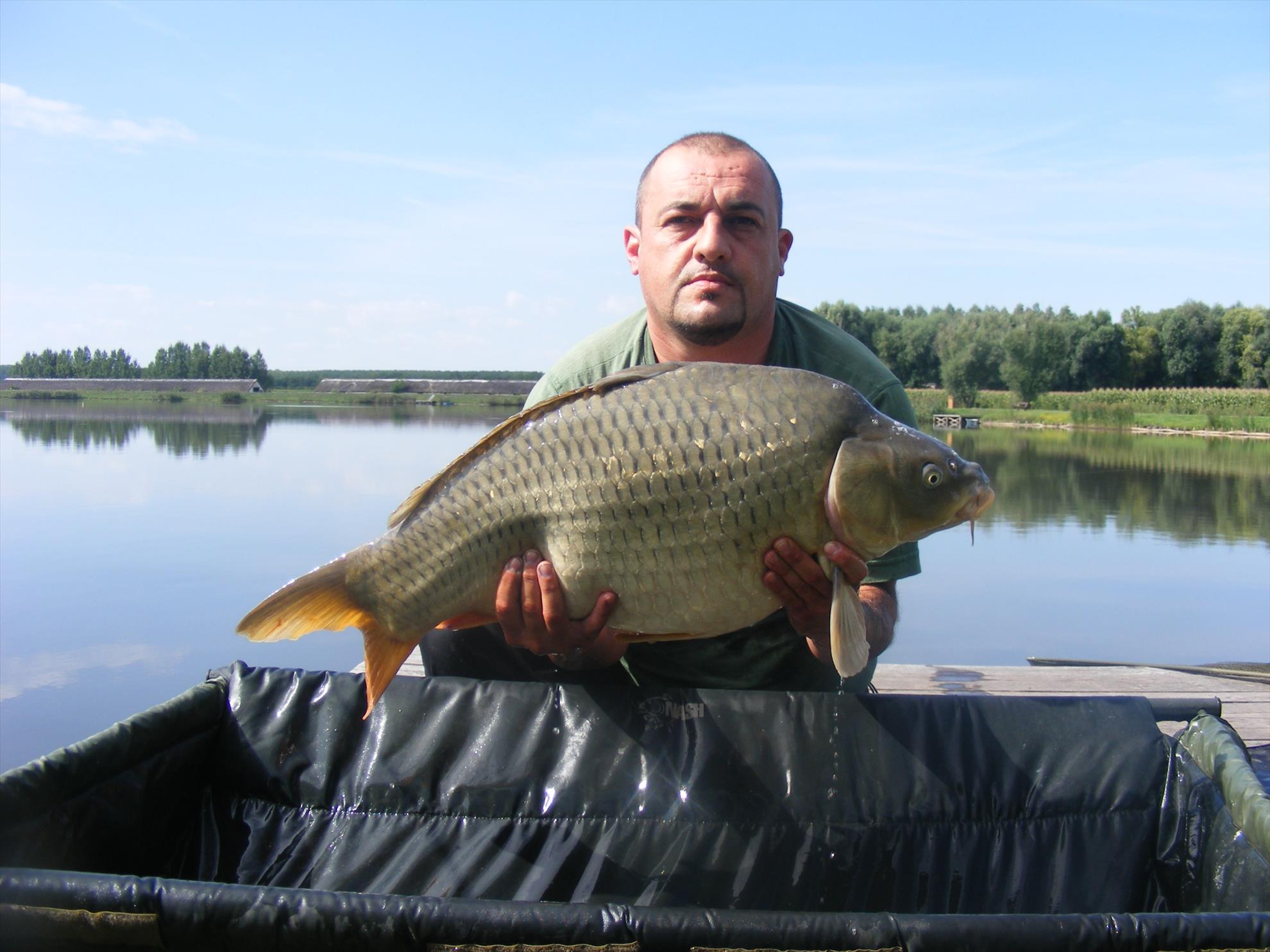 Remus - dscf5862.JPG